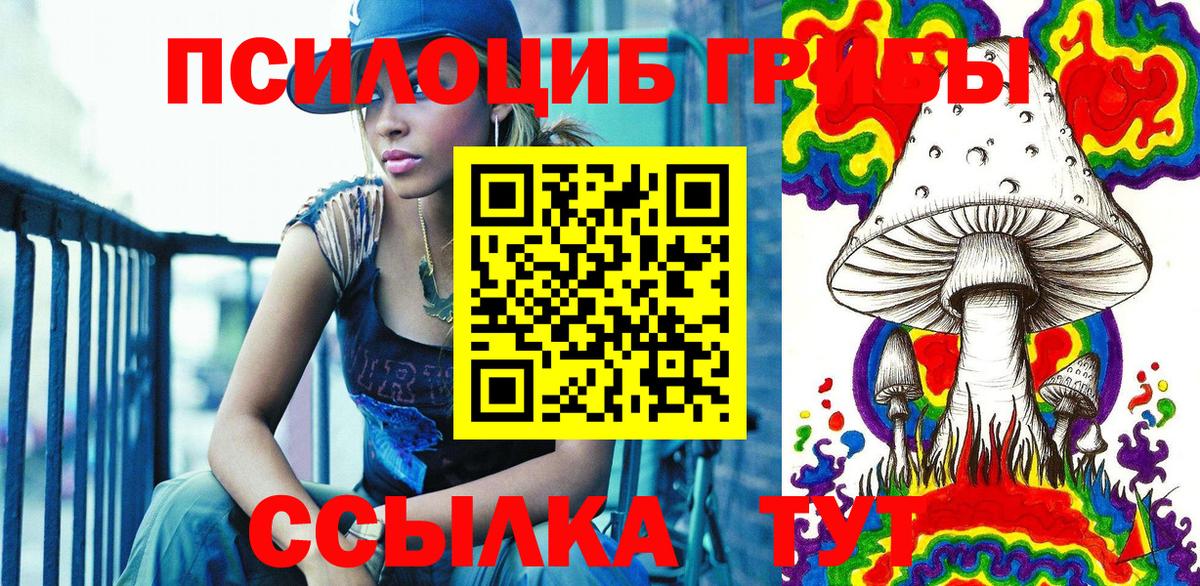 Псилоцибиновые грибы Cubensis Пугачёв